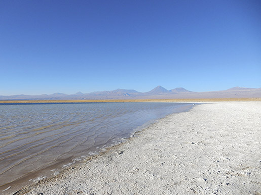 Laguna Cejas: lagoa de sal em que você bóia!